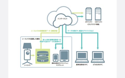各種観測データ・映像を利用した解析や農業アドバイス